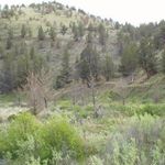 Donald Ridenour - @donal_dridenour - Instagram