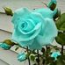 Donna B Rohr - Facebook