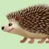 donpinoroloff - @don.pino.roloff - TikTok