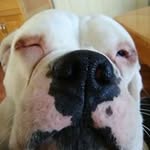 Don Schafer - @don.schafer.399 - Instagram