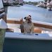 Donald D Schafer Jr. - Facebook