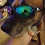 Don R. Schell II - @donschellii - Instagram