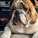 Don Schell - @donschell62 - Instagram