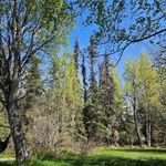 Don Schindler - @drjs1956 - Instagram