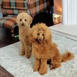 searle donnan - @searledonnan - Instagram