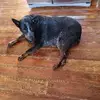 Don Seeley - @don.seeley - TikTok