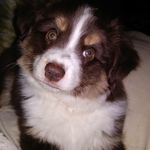 don shaffer - @shaffer1042 - Instagram