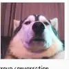 donshaffer49 - @donshaffer49 - TikTok