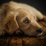 Don Shepard - @don.shep.photo - Instagram