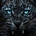 Don Silva - Facebook