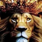 Don Simmons - @big_dezzy6969 - Instagram
