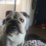 Don Simmons - @donsimmons7373 - Instagram