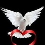 don_ Simpson - @_simpson_457899 - Instagram