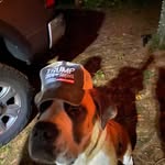 Don Singleton - @cableruner - Instagram