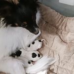 Don Singleton - @don.singleton.733 - Instagram