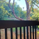 Don Singleton-Red - @reddonwest08 - Instagram