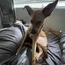 Donevin Spechts - Facebook