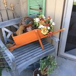 Donna Sue Specht - @donnasuespecht - Instagram