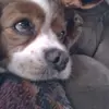 Don Spilman - @don.spilman - TikTok