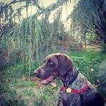 Donald Sprague - @donald.sprague.7 - Instagram