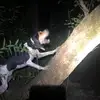 landonstarkey612 - @muddcreeckkennels - TikTok