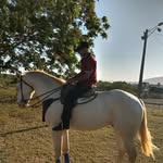 donsteelalamitos - @don_steel_alamitos - Instagram