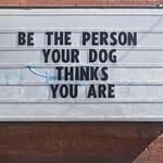 Don sternal - @don.sternal - Instagram