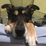Don Stout - @stout_don - Instagram