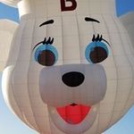 Don Stout - @doncstout - Instagram