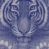Don Strange - @don.strange0 - TikTok