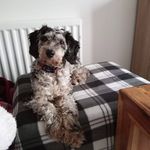 Donna Stringer - @donna.stringer.547 - Instagram