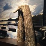 Don Stump - @donstump - Instagram