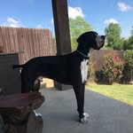 TeamSturgillDonnelly - @teamsturgilldonnelly - Instagram