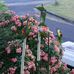 Don Svendsen - Facebook