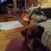 donnasweitzer - @donnasweitzer - TikTok