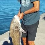 Don Terrell - @don.terrell - Instagram