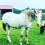 Don Terrell - @donterrell83 - Instagram