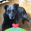 Donna Teter - @donna.teter - TikTok