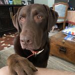 Donovan Tinsley - @donovantinsley - Instagram