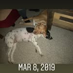 Don todd - @dontodds - Instagram
