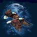 Don Townsend - Facebook