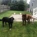 Don Tremblay - Facebook