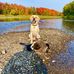 Don Tremblay - Facebook