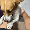 dontroste - @nopalito28 - TikTok