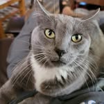 Don Trujillo - @don.trujillo.3 - Instagram