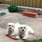 Donald Turnbull - @jd.turnbull3 - Instagram