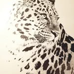 Don Upton - @uptondon - Instagram