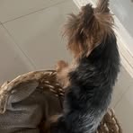 Don Vidal - Facebook