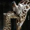 Donna Wakefield - @donna.wakefield3 - TikTok