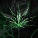 Donald Walter - Facebook